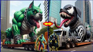 Superheroes Dog Evaluated 🐕 ||💥 Avengers vs DC - All Marvel Characters #avengers @worldsofwonder00