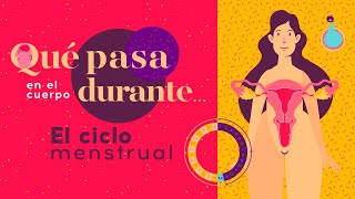 Qué pasa en el cuerpo durante... el ciclo menstrual 🩸