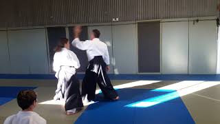 Irimi-nage Entry Details (Shomen-uchi)