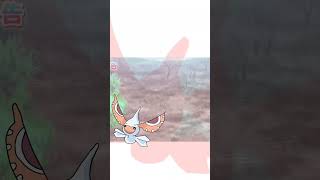 liko catches paldean wooper??| pokemon horizons ep 11 preview