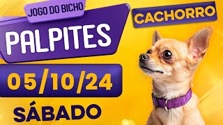 PALPITE DO DIA 05/10/2024 - JOGO DO BICHO 🍀 TODAS AS LOTERIAS 🍀