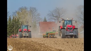 Grubbern // Massey Ferguson 8737/8690 mit Amazone Centauer und Horsch Terrano