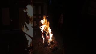 #holi #holikadahan #holikadahan2024 #holi2024 #shorts #shortvideo #shortsvideo #short