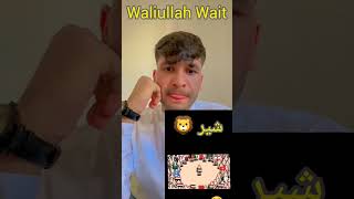 Episode 7 || Palestine and Israel war|| waliullah TikToker || Israel vs Palestine jung #trending