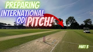 Preparing My FIRST International Cricket Pitch!  Part 3