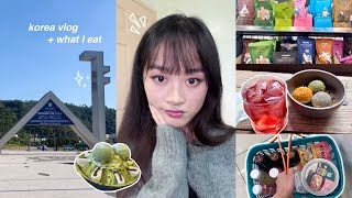 seoul vlog ᯓ★ trying every convenience food 🫡 first day at university! | ft. totwoo