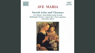 Ellens Gesang III (Ave Maria!) , Op. 52, No. 6, D. 839, "Hymne an die Jungfrau"