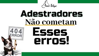 Adestrador não cometa esses erros