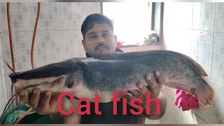 cat fish #hunting #river #baitcasting #fishing #jk #maharashtra #mumbai #badlapur