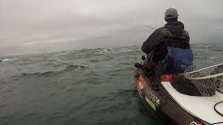 Jigging e vinil, Baila XL barra do Tejo, pesca de kayak Portugal