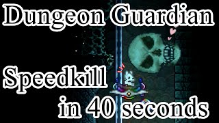 Terraria - Expert Dungeon Guardian Speedkill in 40 seconds