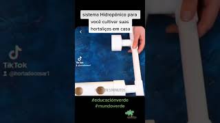 Sistema Hidropônico para cultivar hortaliças.