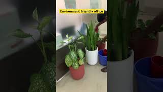 Environment friendly office at #Dhaka #Bangladesh SEIP, Finance Division, Ministry of Finance