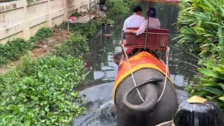 Elephant Ride in Chang Puak Camp Damnoen Saduak Thailand