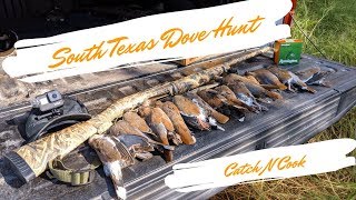 South Texas Opening Day Dove Hunt! [Catch and Cook]