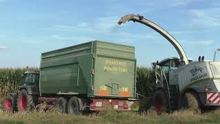 Maishäckseln mit der Raubkatze Claas Jaguar 970 und Orbis 750 und Fendt Vario 724 mit Lohnunternehme