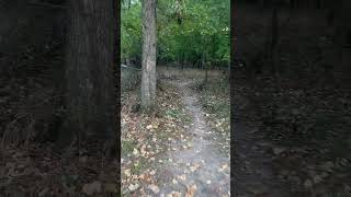 Thrush Trail in Mohawk Park in Tulsa! #hiking #nature #tree