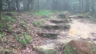 The trail going to tai mo shan from pineapple dam via wilson trail | travel vlog | unedited