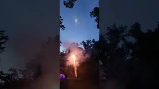 Bug Eyed 86 Shot 200 Gram Firework by World Class