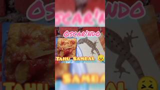 Tahu Sambal 🔥, Tokek (Gecko) menu 4 sehat 5 sempurna 😣 #tokekrumah #gecko