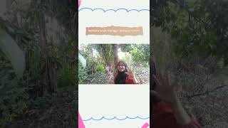 Vlog panen buah manggis #shorts #vlog