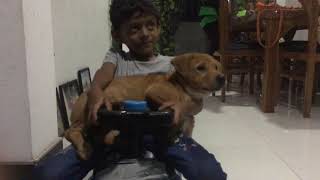 Thuheen & puppy riding