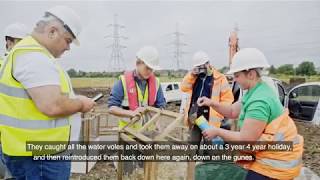 The History Series: Conserving Barking Riverside's Water Voles