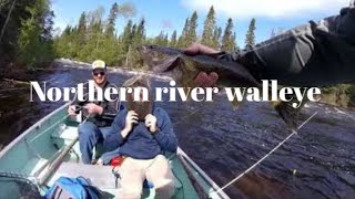 Northern Ontario fast water walleye