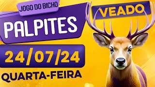 PALPITE DO DIA 24/07/2024 - JOGO DO BICHO 🍀 TODAS AS LOTERIAS 🍀