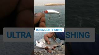 Ultralight fishing 🔥💢சிறிய பொம்மை மீனில் ஆகிய பாறை மீன்..🔥👍#fishinglife #shorts