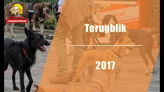 Terugblik 2017 - Stichting DierenLot