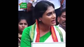 BRAIN DOBBINDHI #yssharmila #chandrababu #ysavinashreddy