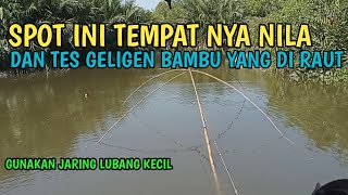 BEGINI CARA KU CARI IKAN || Ikan nila