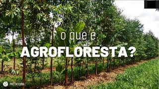 Webinar 1 - Aula 1 - O que é agrofloresta