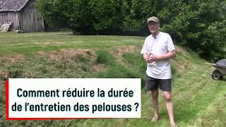 Comment entretenir rapidement ses pelouses ?