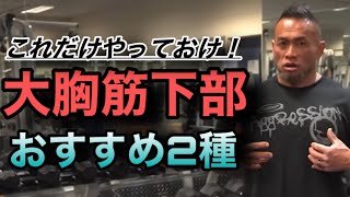 大胸筋下部にバチバチに入るおすすめ２種【山岸秀匡/ビッグヒデ/切り抜き】