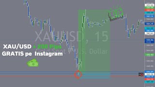 Cum am dat un Trade Gratis pe Instagram de +250 Pips ( GOLD ) + Analiza Live cu echipa NFX