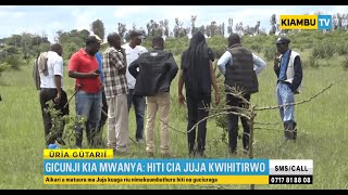 Juja Residents Mobilize to Raid Hyena Hideouts