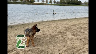 Losloopgebied Strijkviertel – strijkviertelplas Utrecht