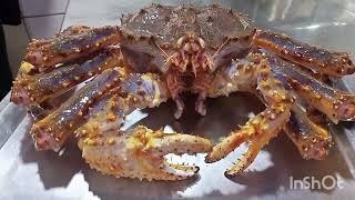 #Alaska crabs live #steam whole pinaka MAHAL na #seafoods