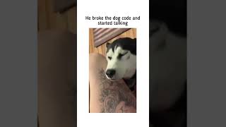 Dog starts talking human😂😂