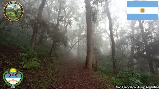 Parque Nacional Calilegua