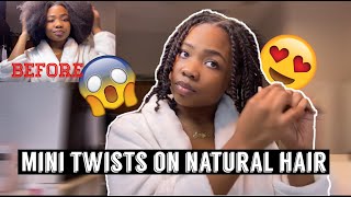 Mini Twists On Natural Hair | Risha Tonae'