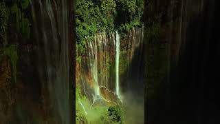 waterfall #shorts #shortvideo #viral #viralvideo