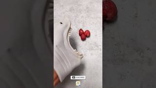 Shark puppet eat strawberry #viral