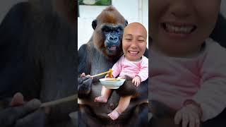 Makan Bersama Gorilla😂