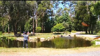 ചൂണ്ടയിട്ട്  മീൻ പിടിക്കാൻ  പോകാം|Fishing at salmon and trout farm