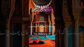 Quran Best Book In The World | Ya ALLAH Ya Muhammad (Saw) | #themeaningofquran #youtubeshorts 😊🕋😊