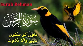 Surah Ar- Rehman سورة الرحمن | tihs voice will touch your heart إنشاءاللّٰه | Surah Rehman ✈🌠