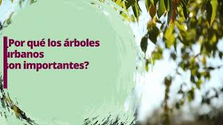 Beneficios de los árboles urbanos